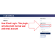 User Email Login